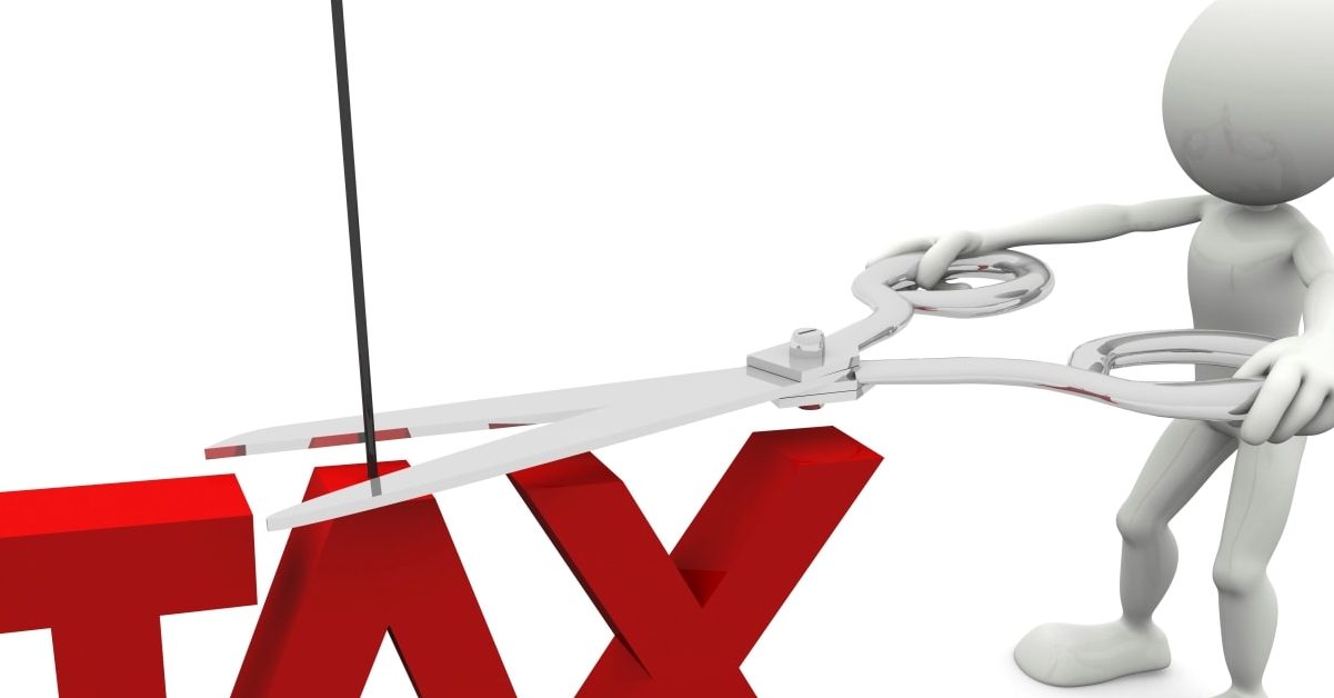 Оптимизация налоговой нагрузки. Как выжить в условиях тотального налогового контроля 